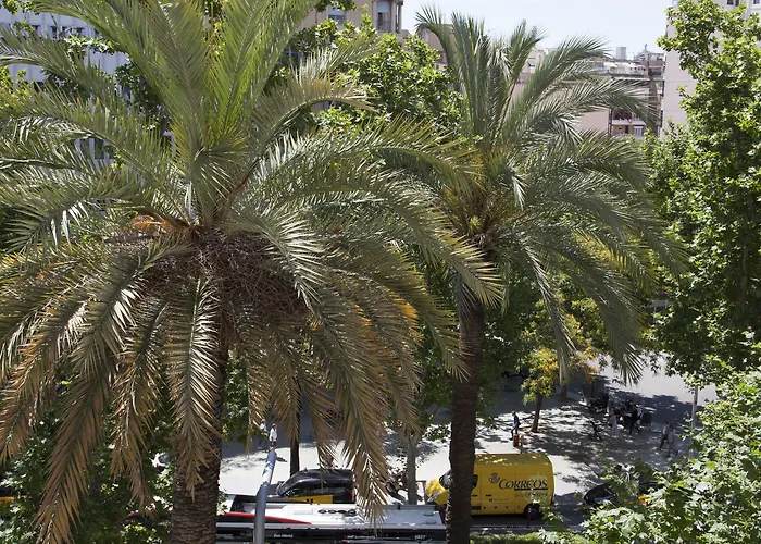 Wow Хостел Барселона